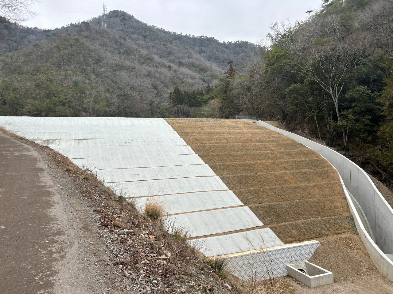 八王寺池地区ため池改修工事（その3）